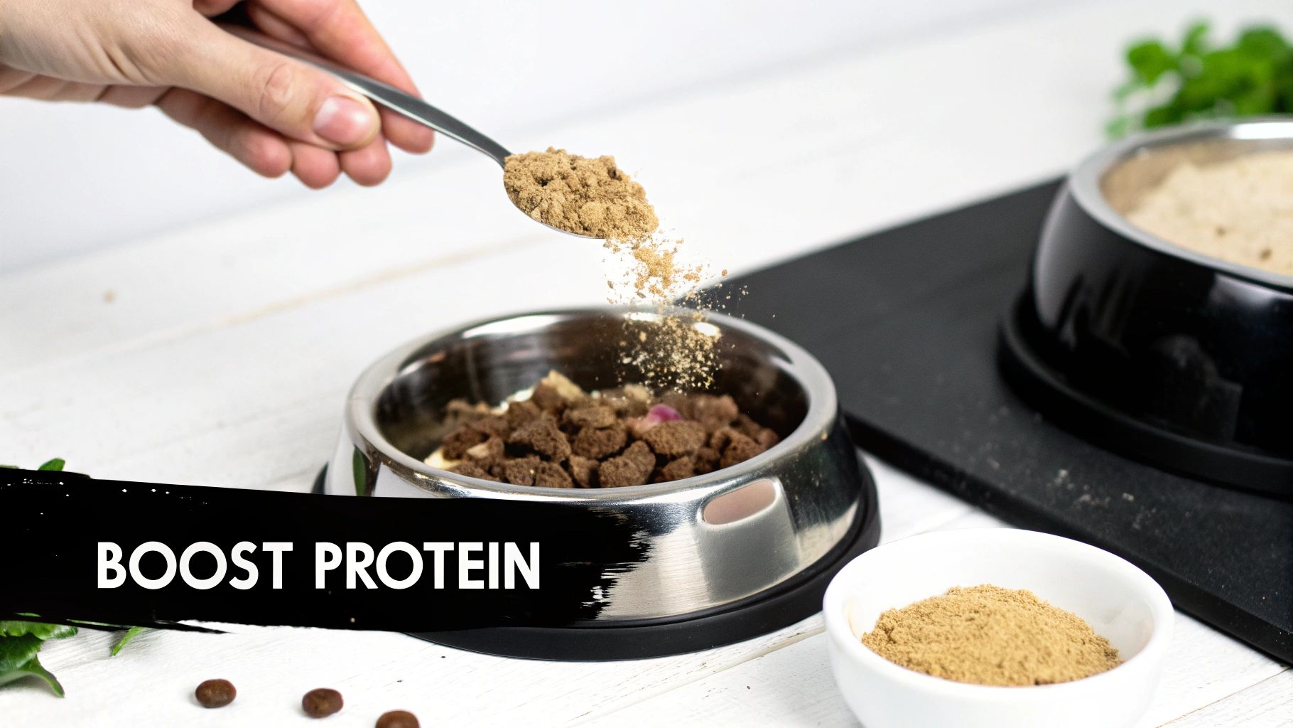 A hand spoons brown protein powder into a dog food bowl filled with kibble to boost nutrition.