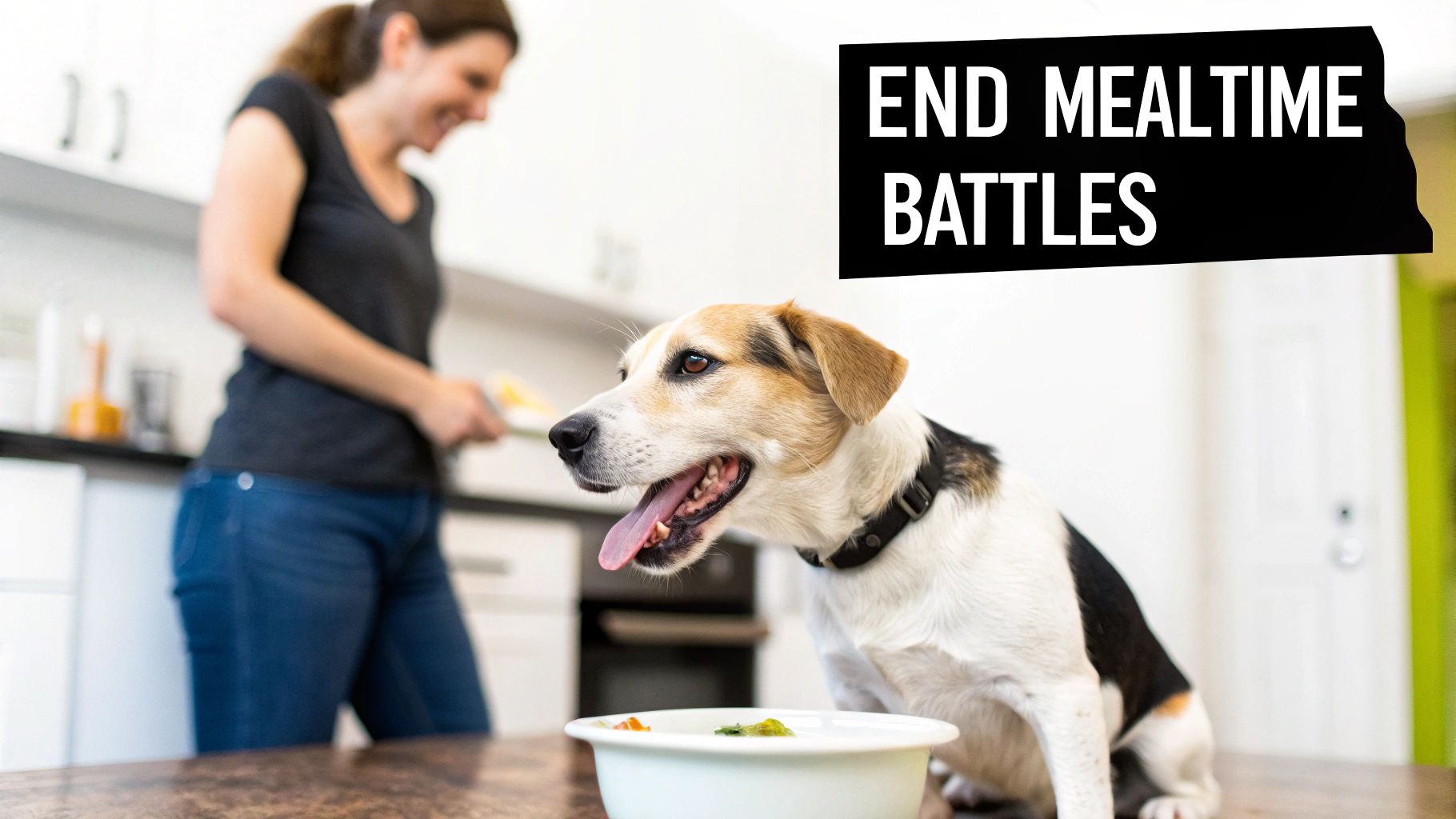 A happy woman in a bright kitchen prepares food for an eager dog sitting at a table with a bowl.