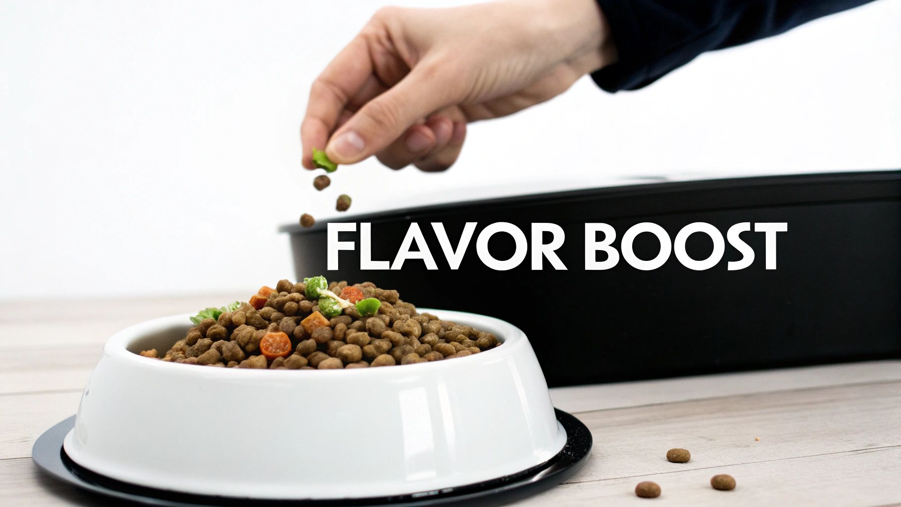 A dog sniffing its full bowl of kibble with a skeptical expression.