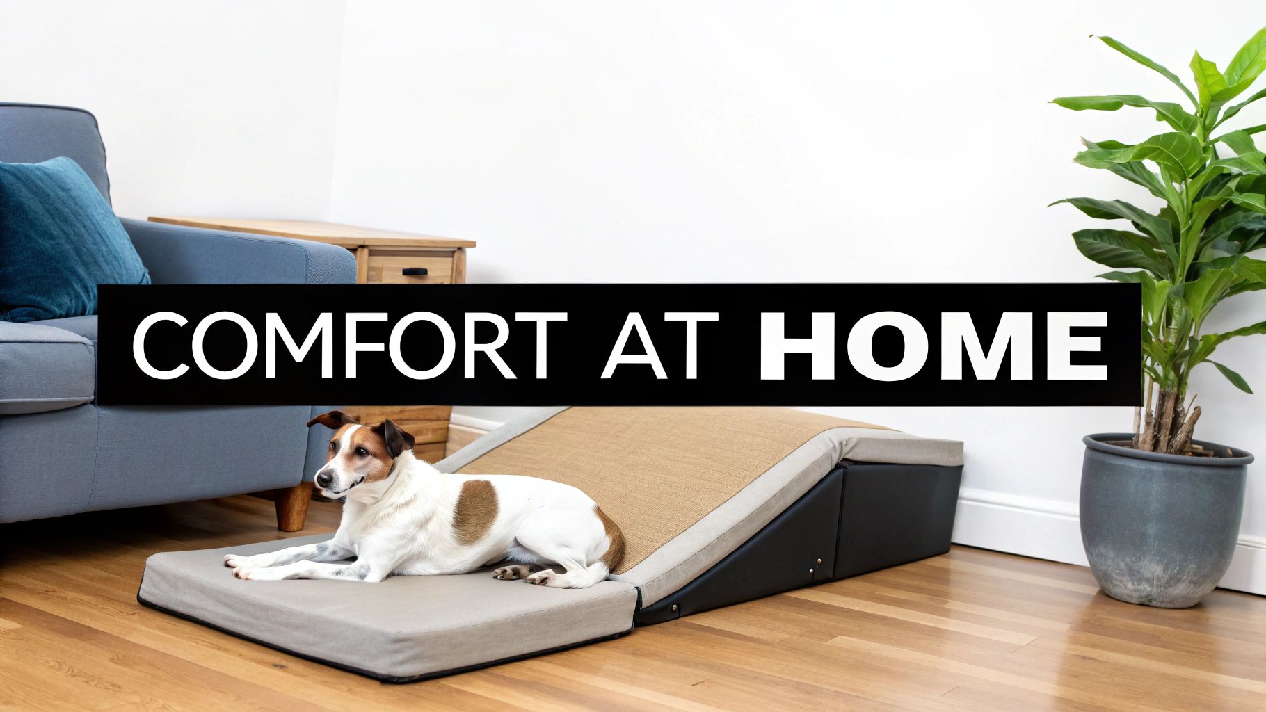 An older, happy dog rests comfortably on a plush orthopedic bed.