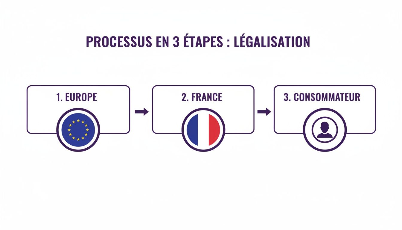 Infographie montrant le processus de légalisation en 3 étapes : Europe, France, puis le consommateur, illustré par des drapeaux et une icône.