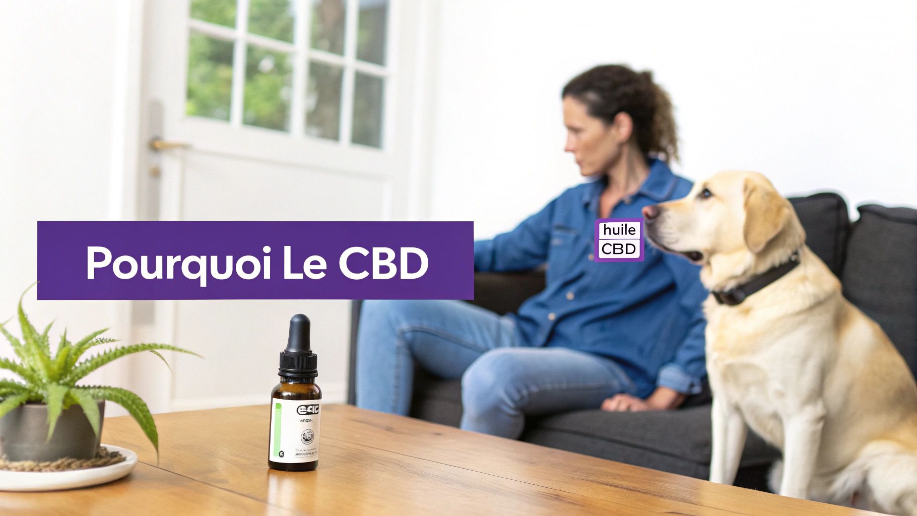 Une femme et son labrador sur un canapé, avec une bouteille d'huile de CBD et une plante sur la table.