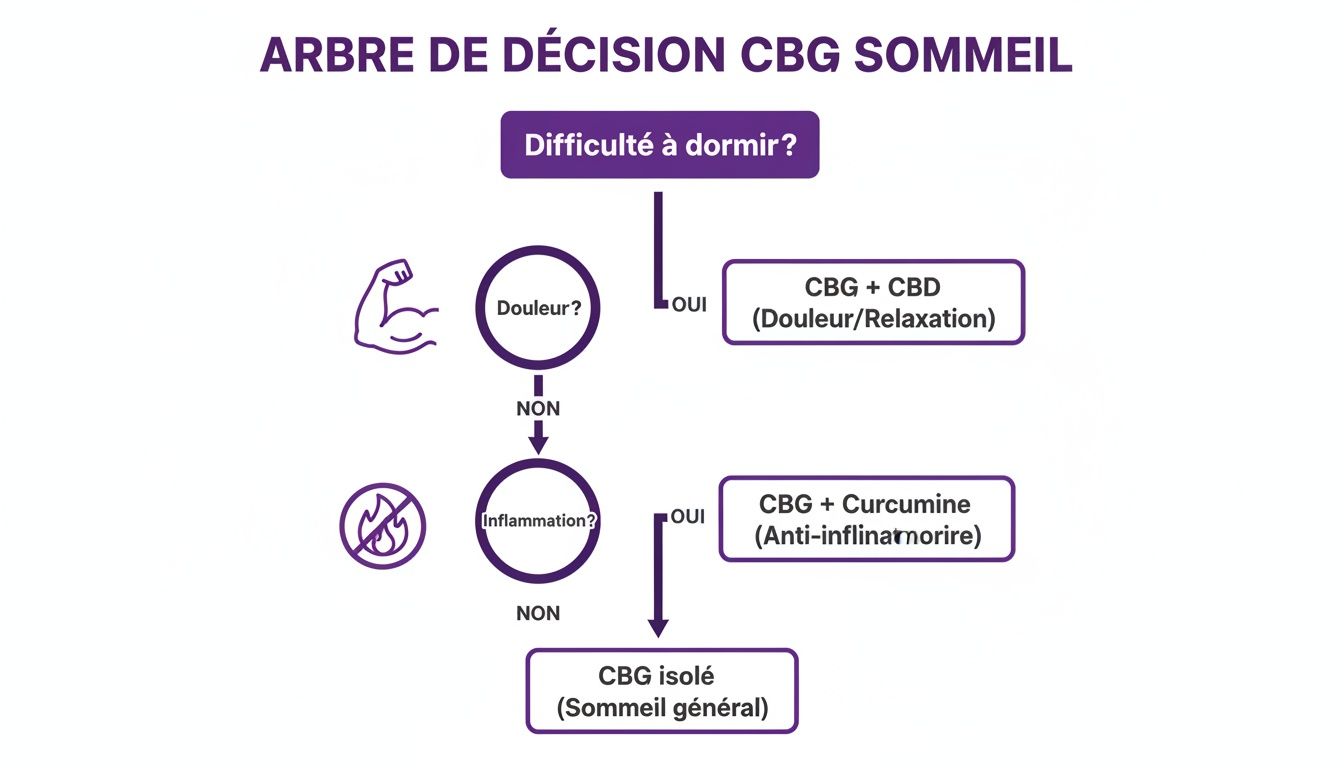 Diagramme de flux pour choisir le CBG adapté au sommeil, basé sur la présence de douleur et d'inflammation.