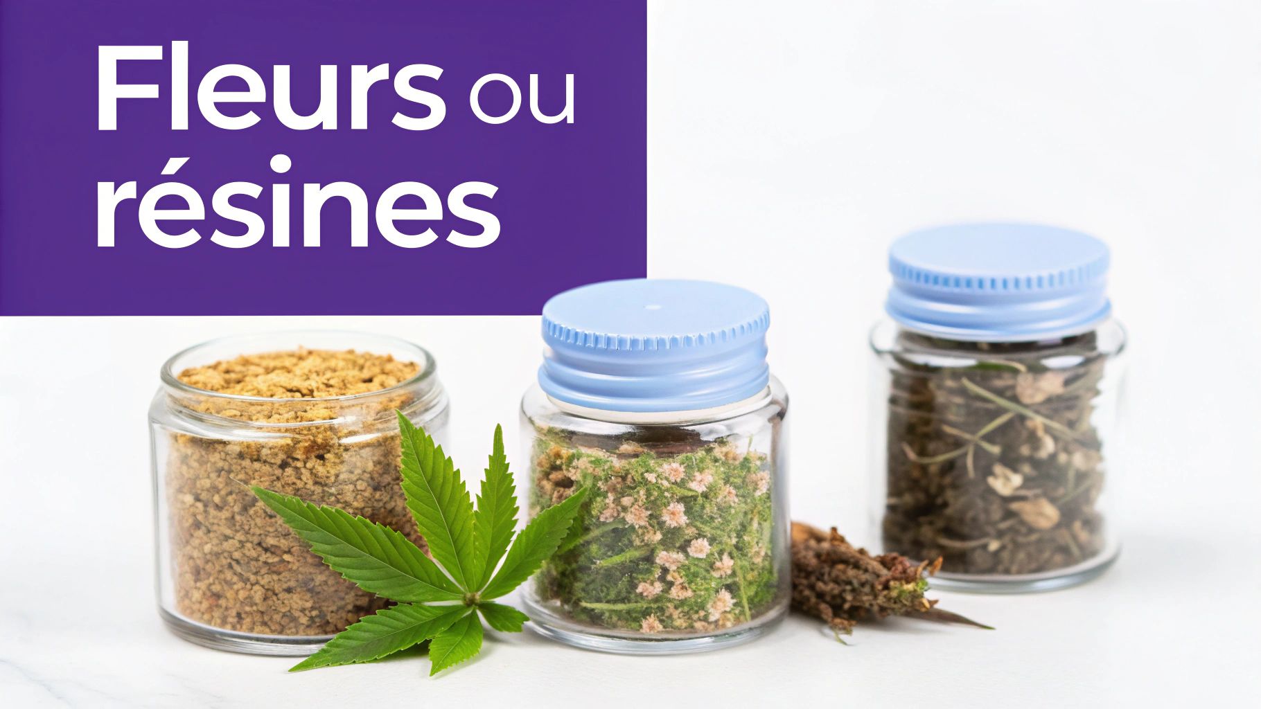Trois bocaux de fleurs et résines de CBD avec une feuille de cannabis, sur un fond blanc avec texte.