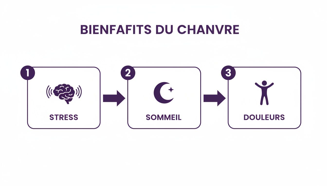 Infographie montrant les bienfaits du chanvre: réduction du stress, amélioration du sommeil, et soulagement des douleurs.