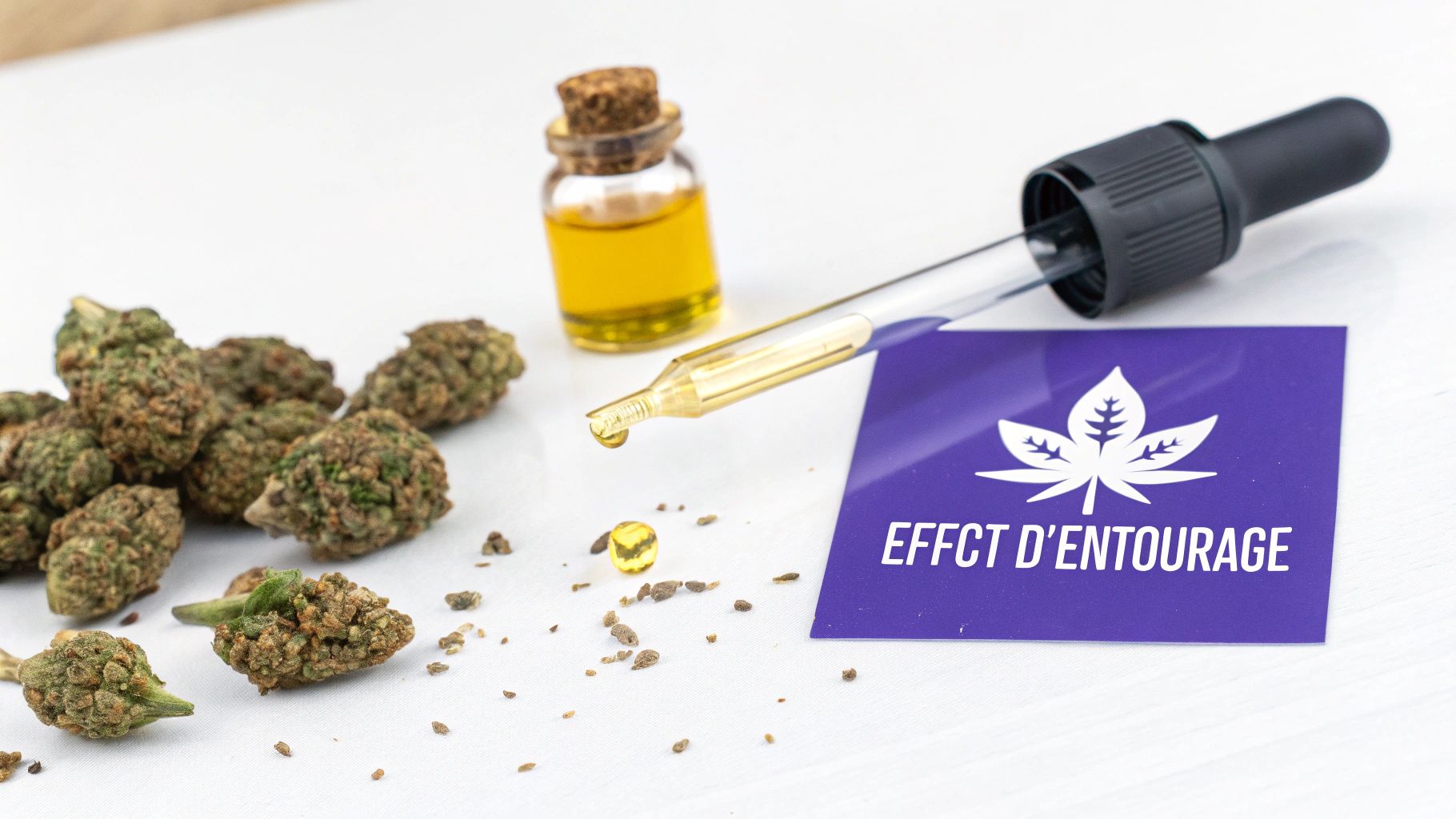 Bourdons de cannabis, huile de CBD avec pipette et flacon, et carte 'EFFET D'ENTOURAGE' sur fond blanc.