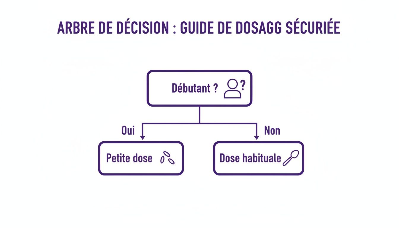 Arbre de décision : Guide de dosage sécurisé. Si débutant (oui), petite dose. Sinon (non), dose habituelle.