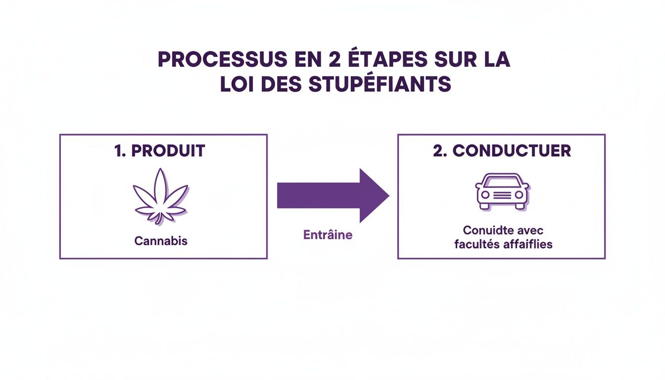 Illustration du processus en 2 étapes sur la loi des stupéfiants: cannabis et conduite avec facultés affaiblies.