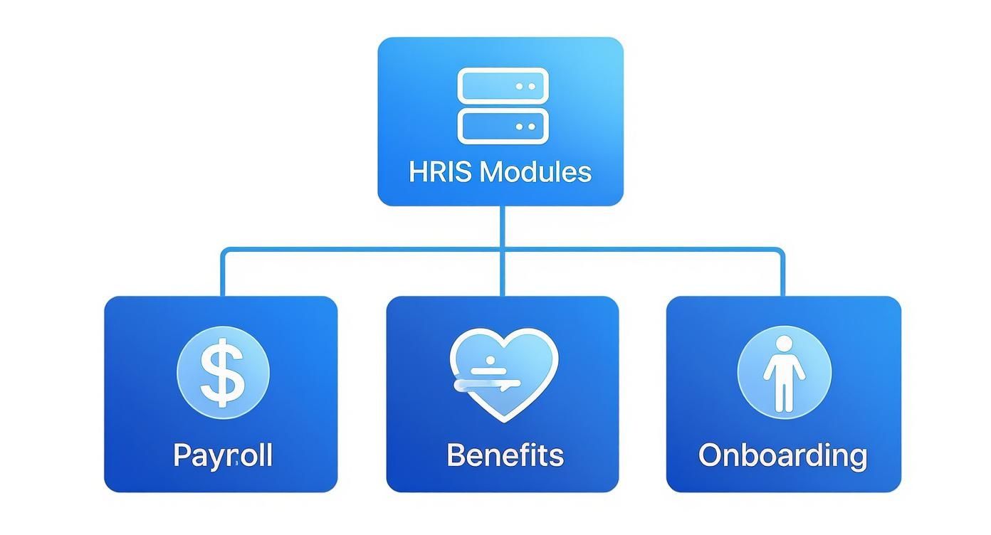 Diagram illustrating HRIS modules including Payroll, Benefits, and Onboarding functions.