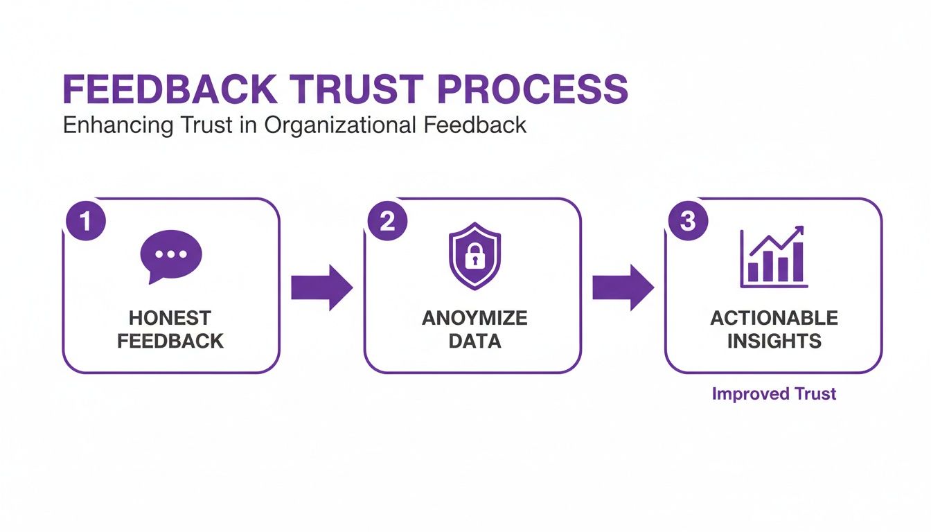 Diagram illustrating a 3-step feedback trust process: honest feedback, anonymize data, actionable insights.