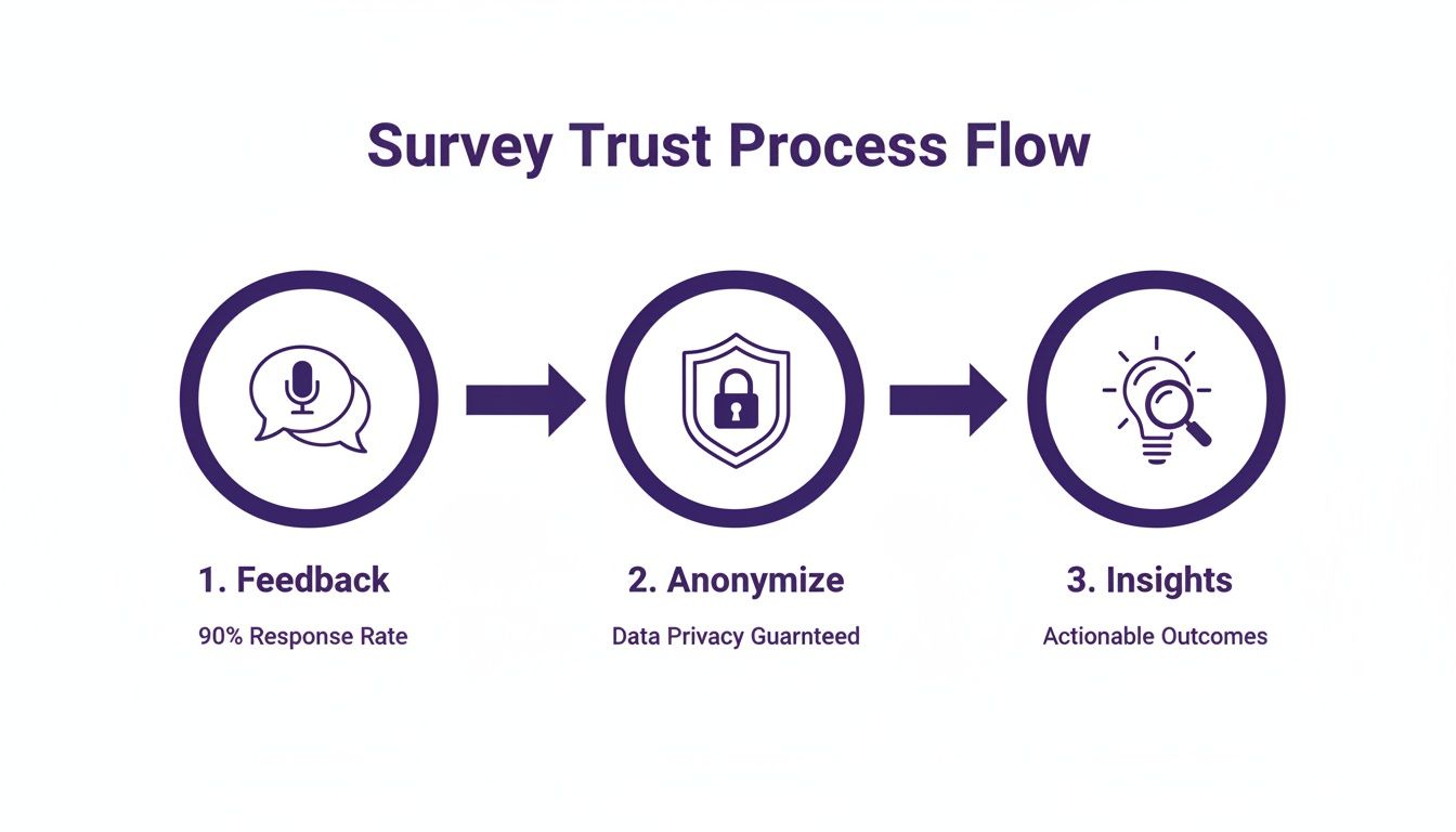A visual flow chart explaining the Survey Trust Process: Feedback, Anonymize, and Insights for actionable outcomes.