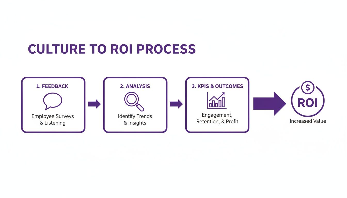 A diagram illustrates the Culture to ROI Process: Feedback, Analysis, KPIs & Outcomes, leading to increased ROI.