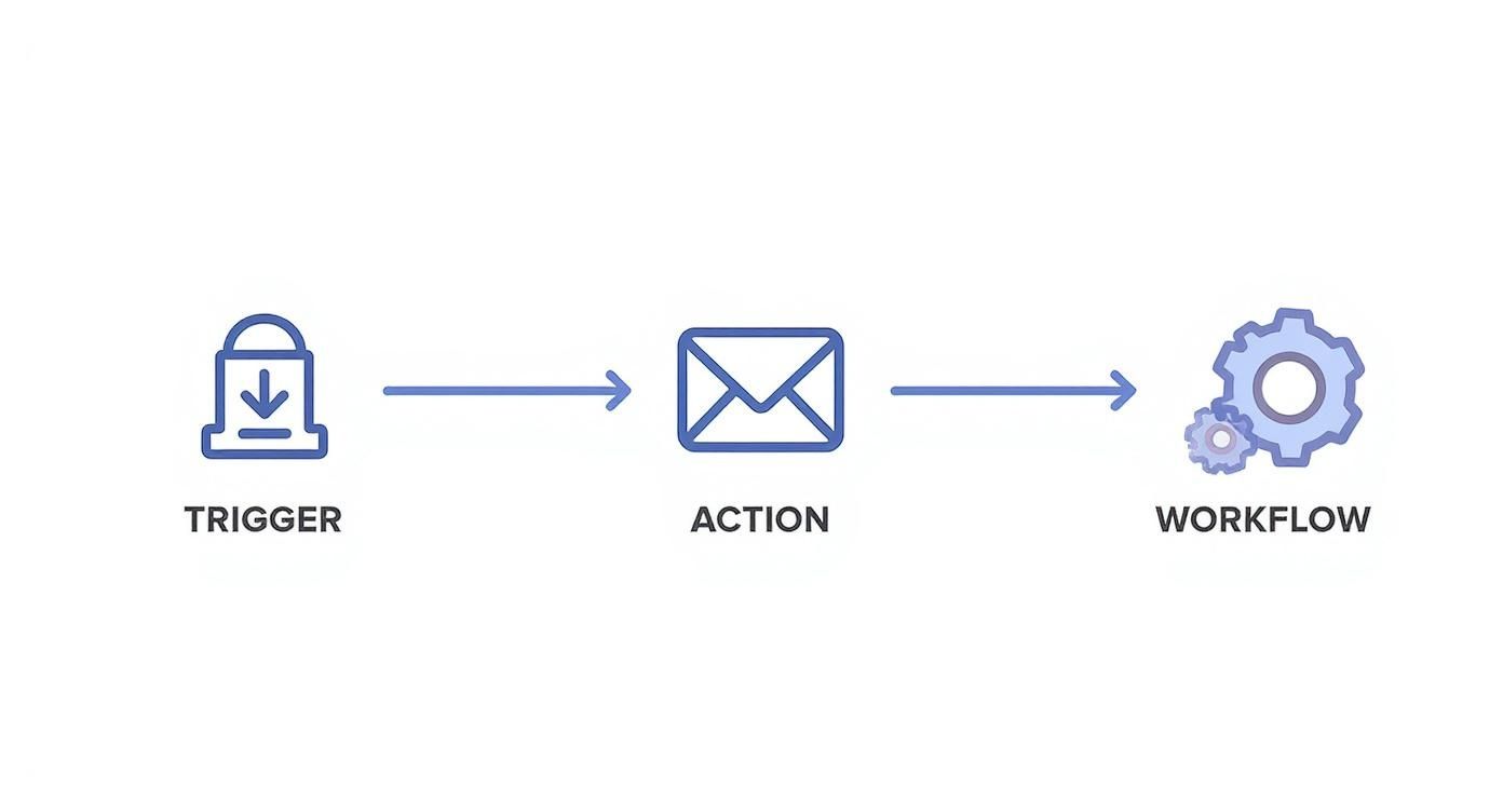 Infographic about what is marketing automation