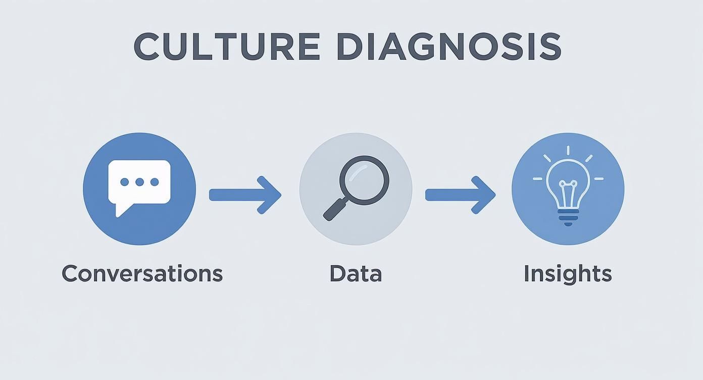 A three-step process flow for culture diagnosis: Conversations, Data, and Insights.
