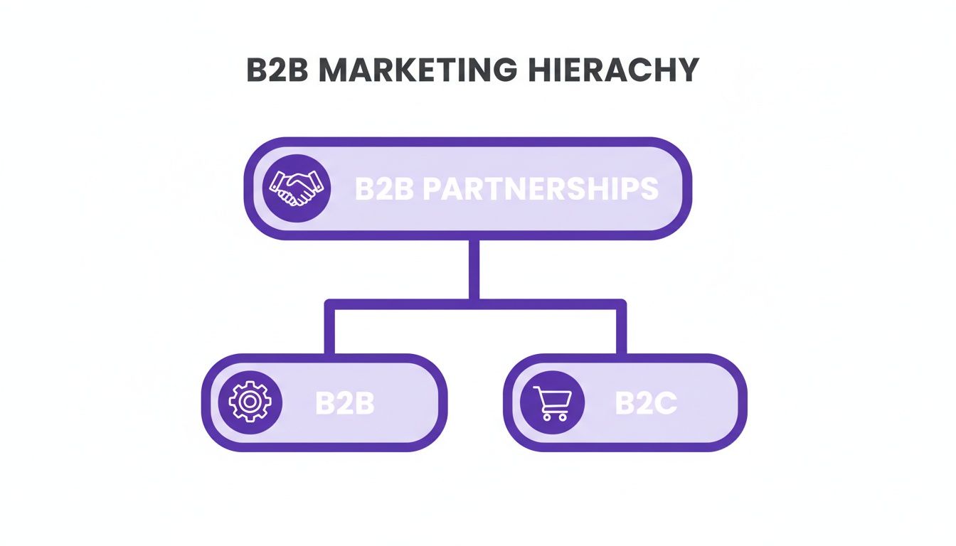 Diagram of B2B Marketing Hierarchy: B2B Partnerships at the top, leading to B2B and B2C.