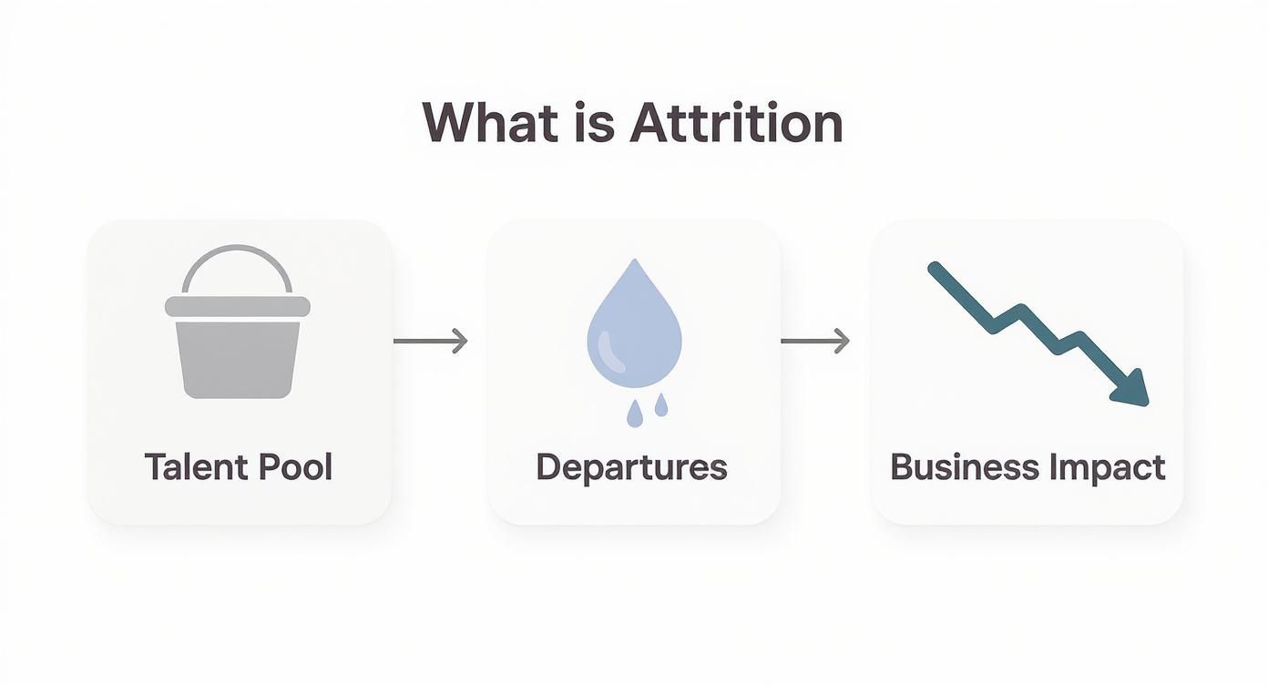 A diagram explaining attrition as a process: talent pool, departures, and negative business impact.