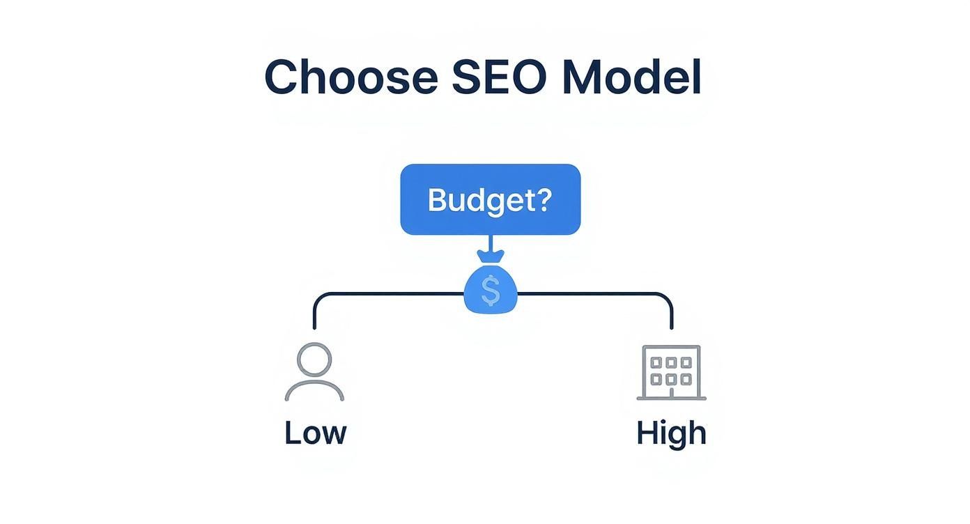 Flowchart illustrating how to choose an SEO model based on a low or high budget.