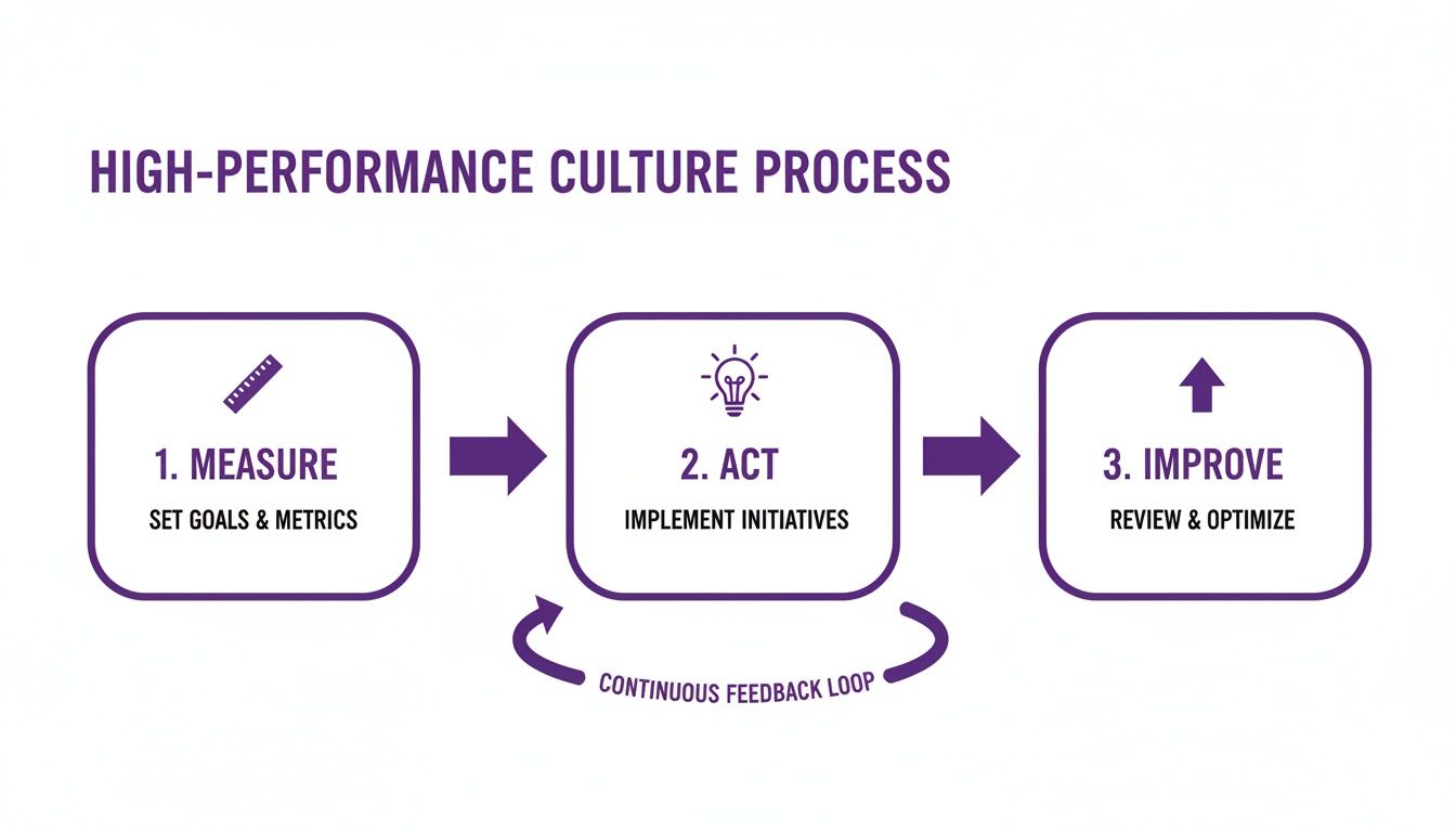 Diagram illustrating a three-step high-performance culture process: Measure, Act, Improve, with continuous feedback.