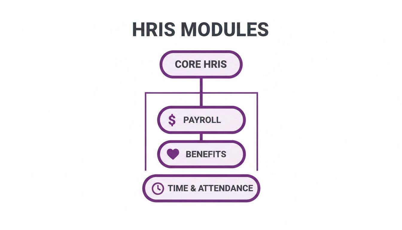 A diagram illustrating HRIS Modules: Core HRIS connecting to Payroll, Benefits, and Time & Attendance.