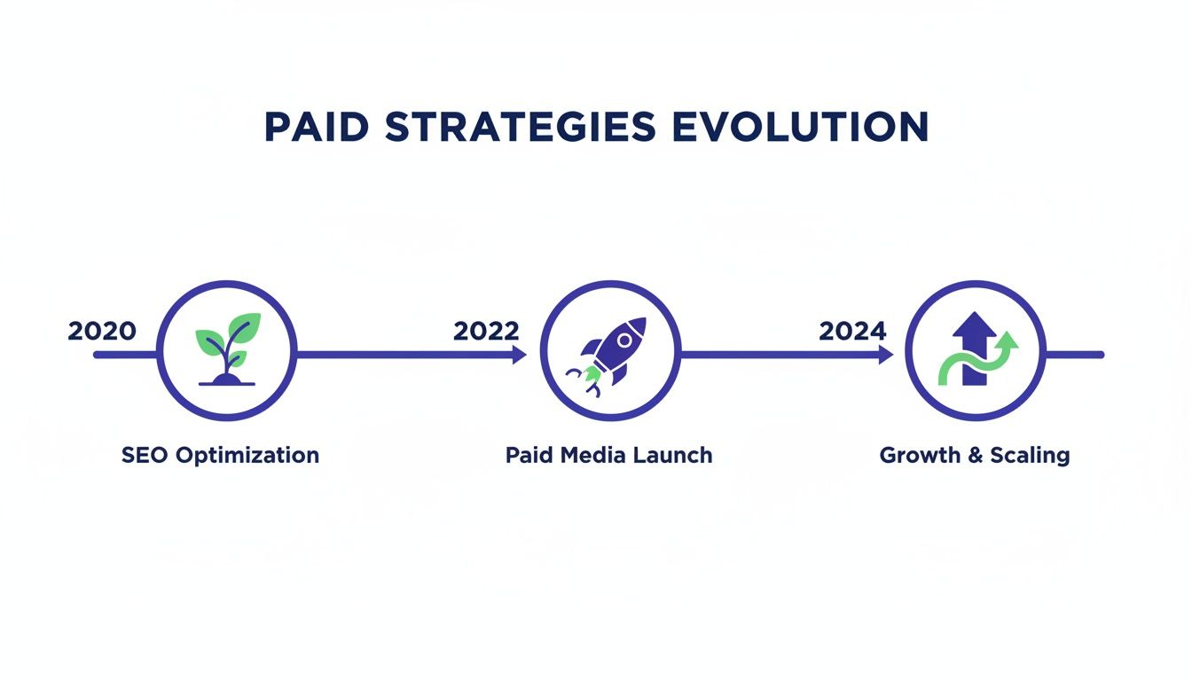 Visual timeline illustrating the evolution of paid strategies: SEO, paid media launch, and growth.