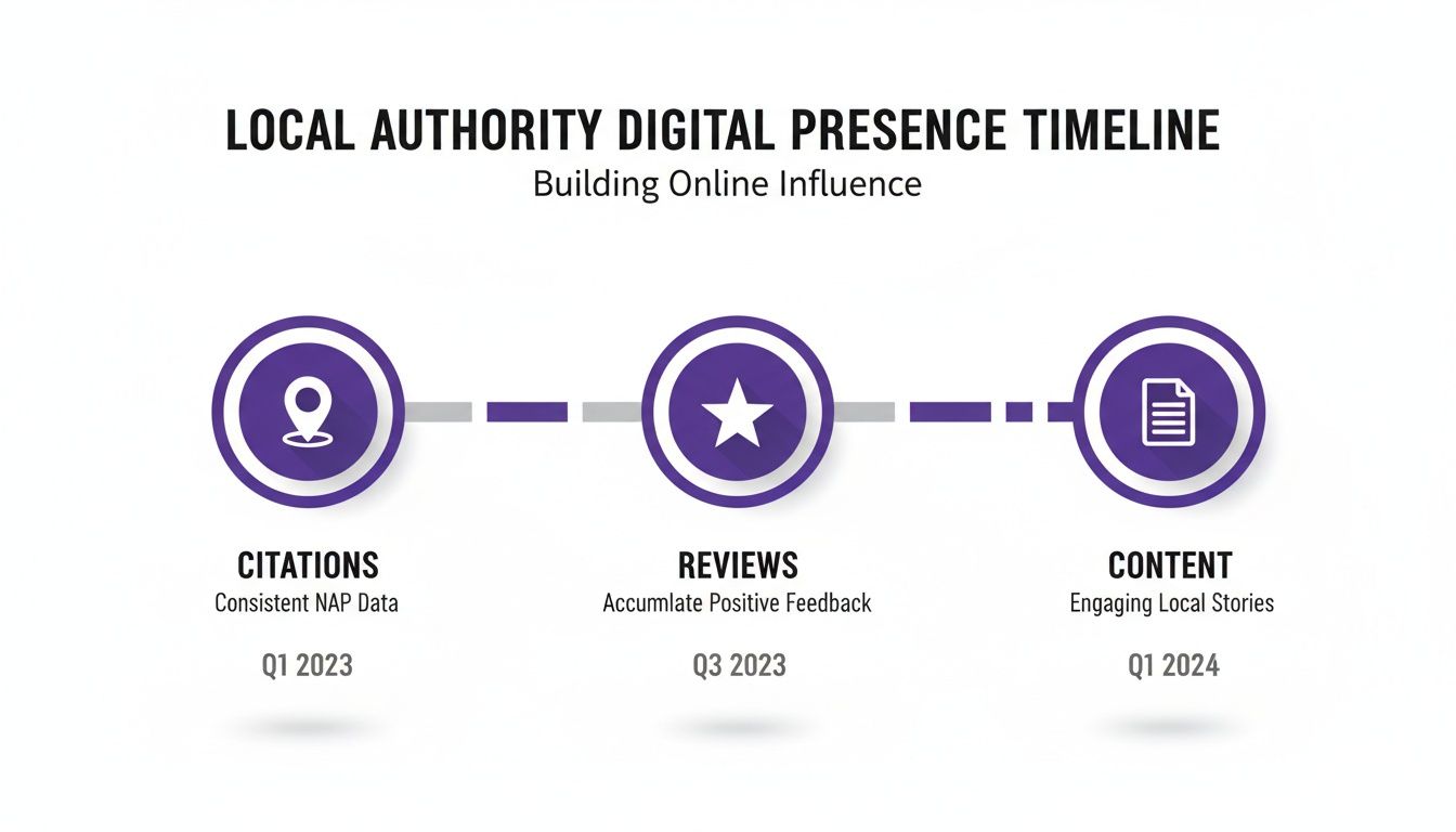 Digital presence timeline for local authorities, detailing citations, reviews, and content strategy.