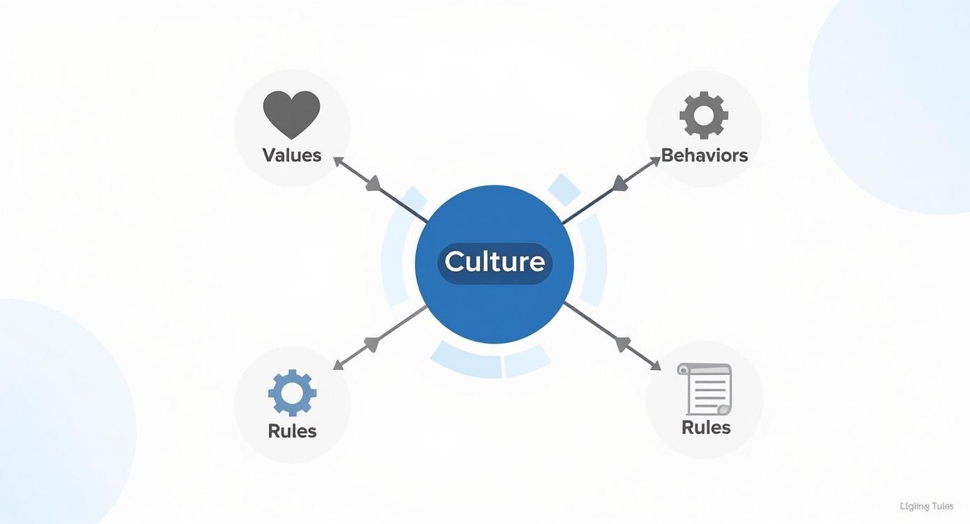 A mind map illustrating 'Culture' at the center, influenced by values, behaviors, and rules.