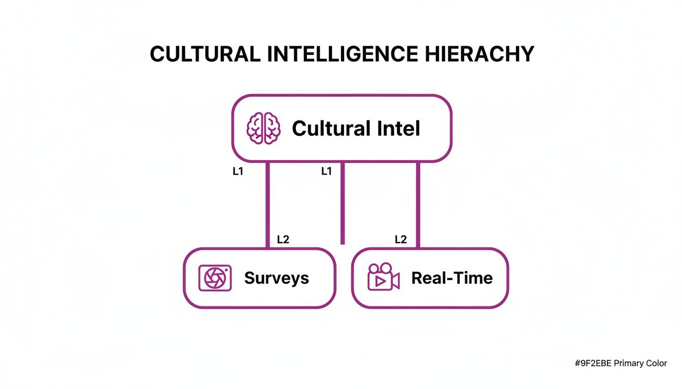 An organizational chart titled 'Cultural Intelligence Hierarchy' showing 'Cultural Intel' branching into 'Surveys' and 'Real-Time'.