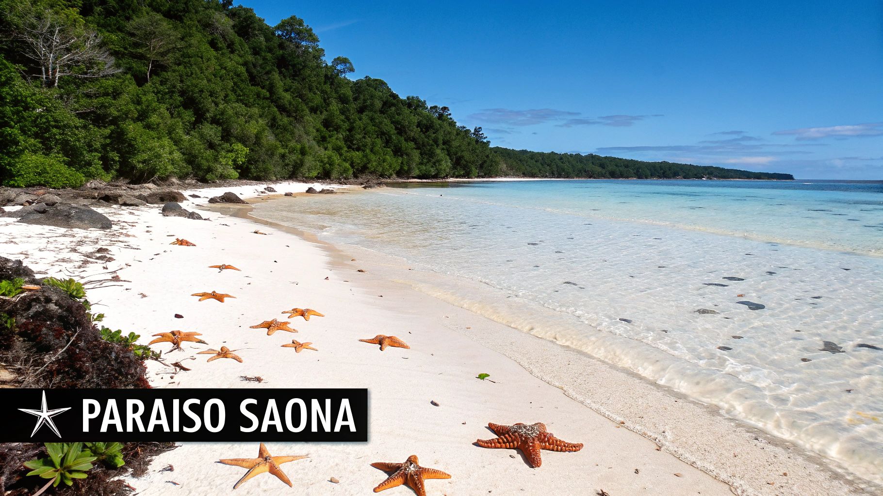 Playa Saona