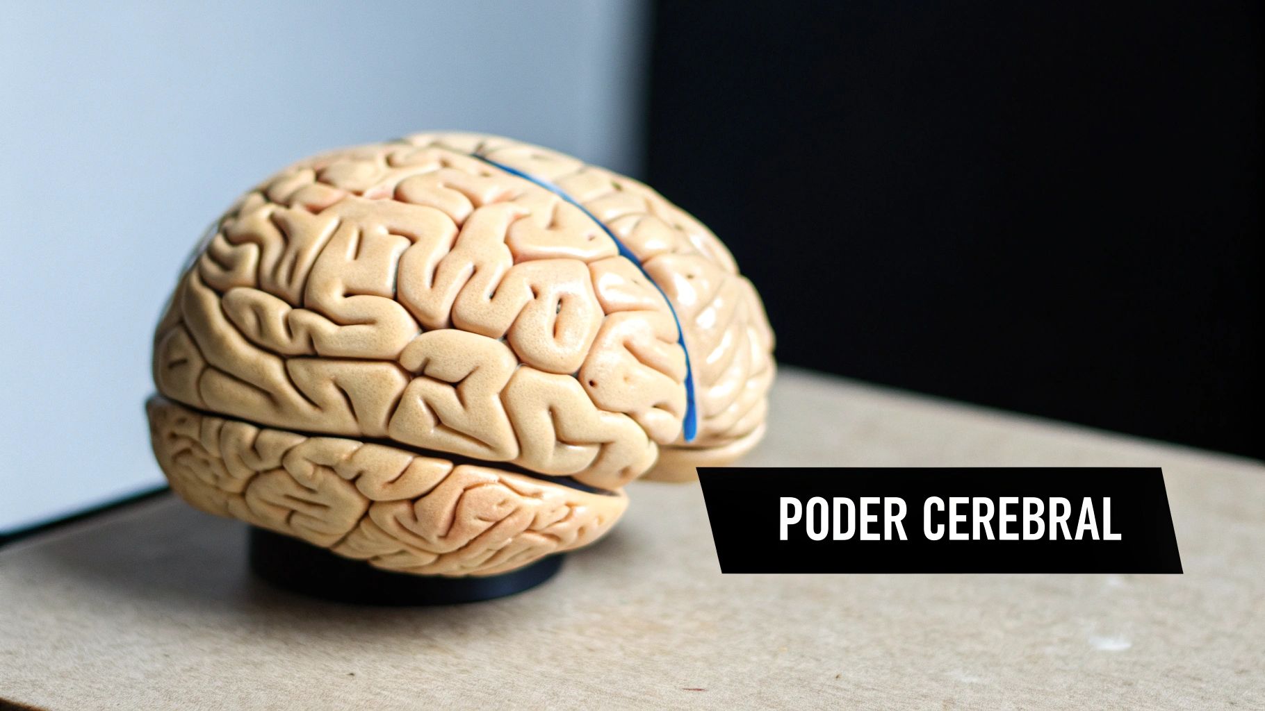The Brain's Massive Processing Power