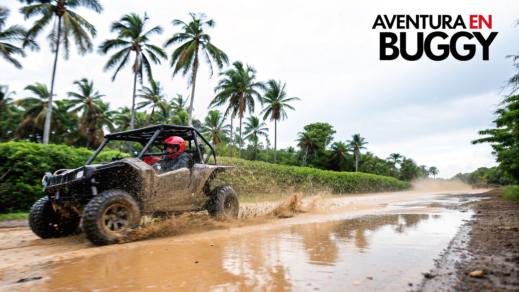 Aventura en Buggy por la selva