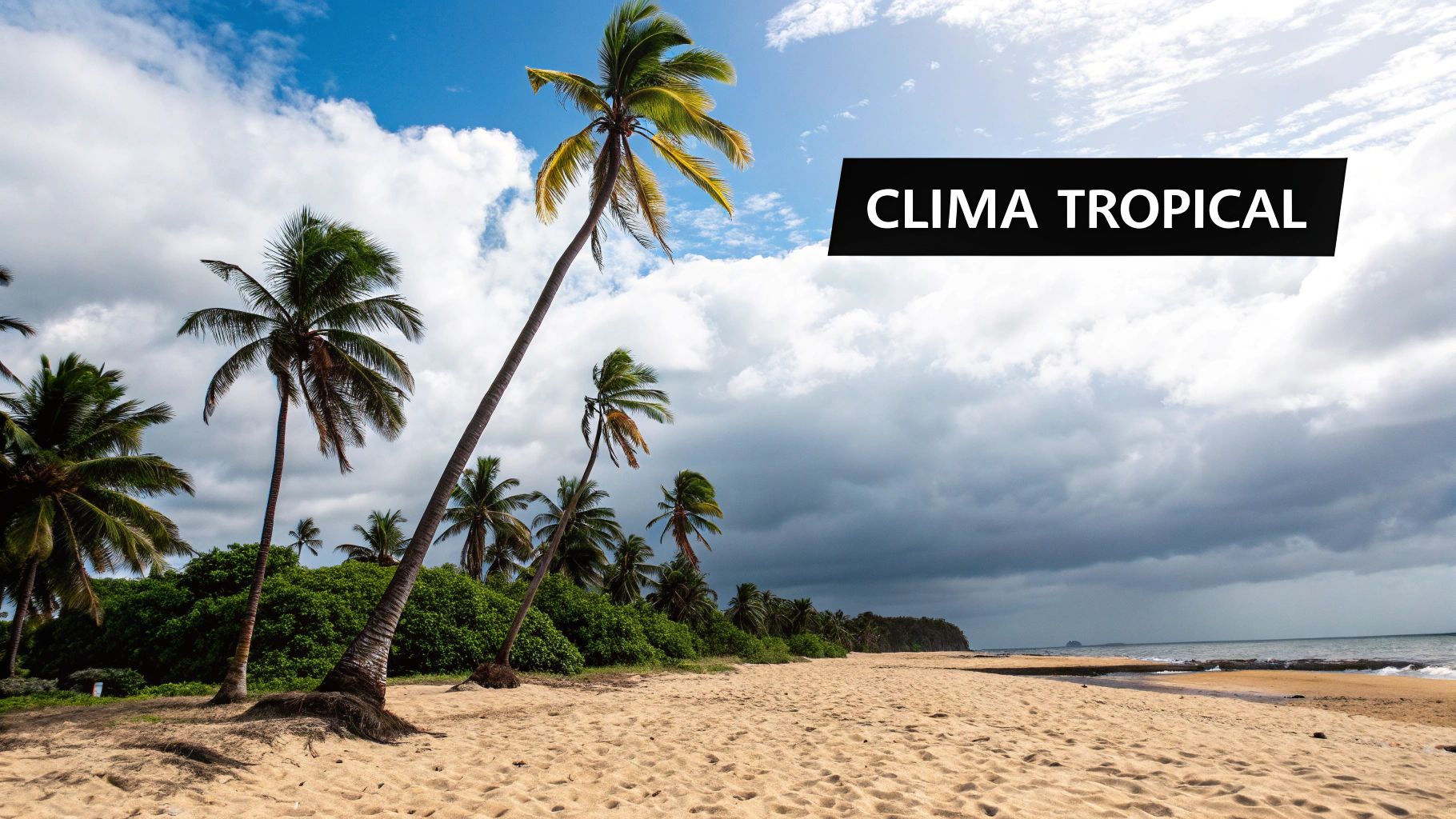 El clima tropical de Punta Cana