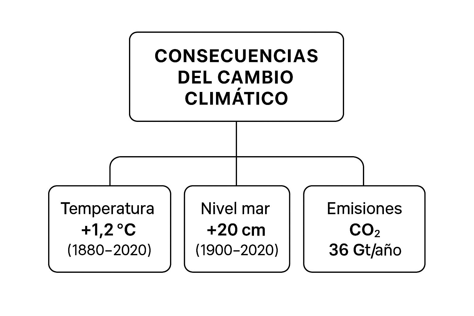 Infográfico sobre las consecuencias del cambio climático, mostrando el aumento de temperatura, nivel del mar y emisiones de CO2.