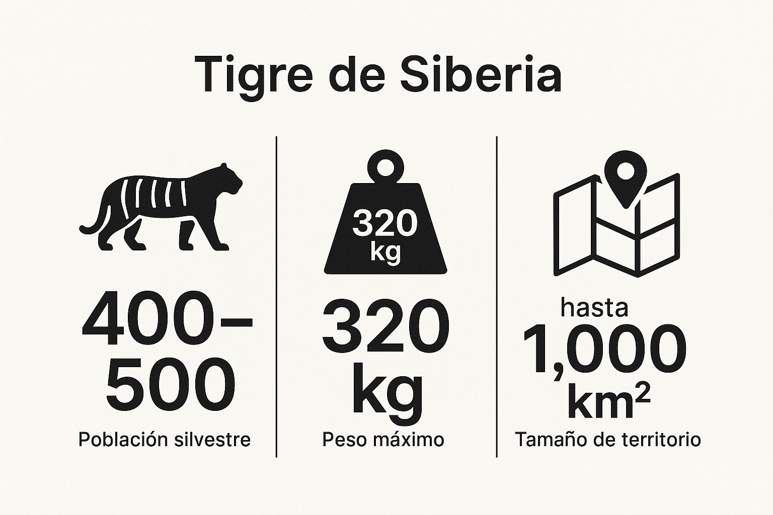Infographic showing key data about Tigre de Siberia (Panthera tigris altaica)