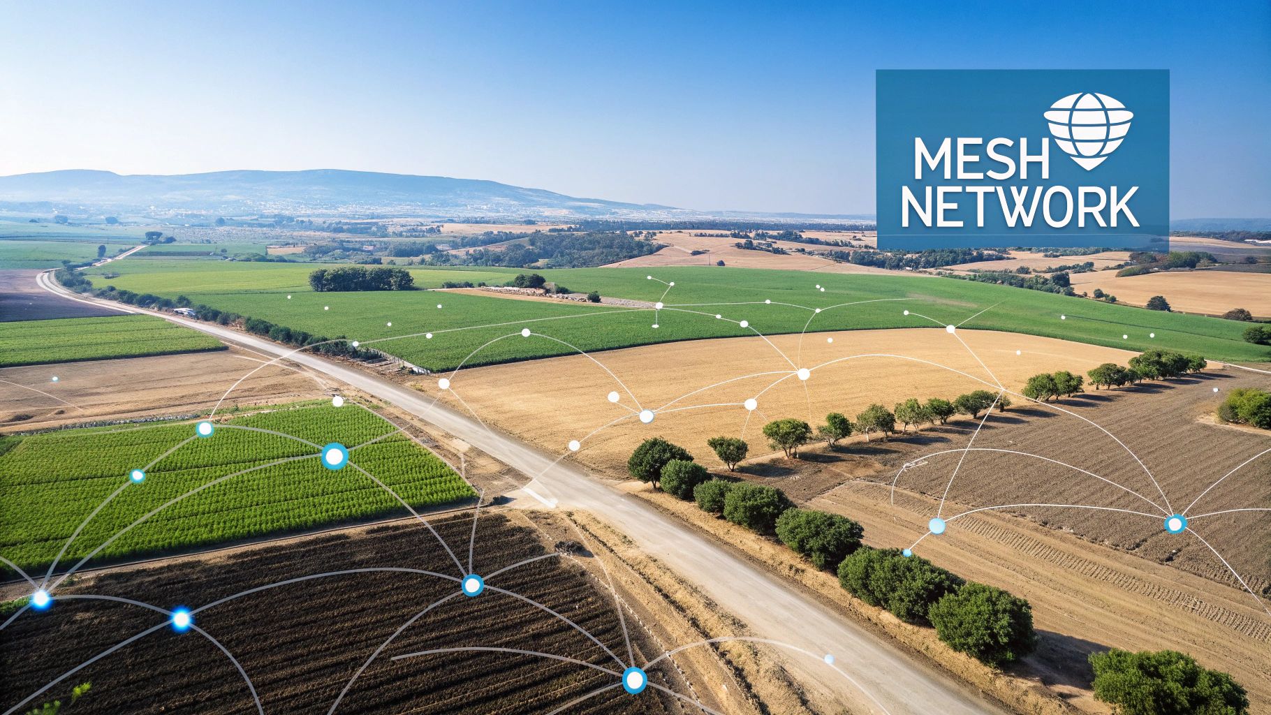 Mesh Networks