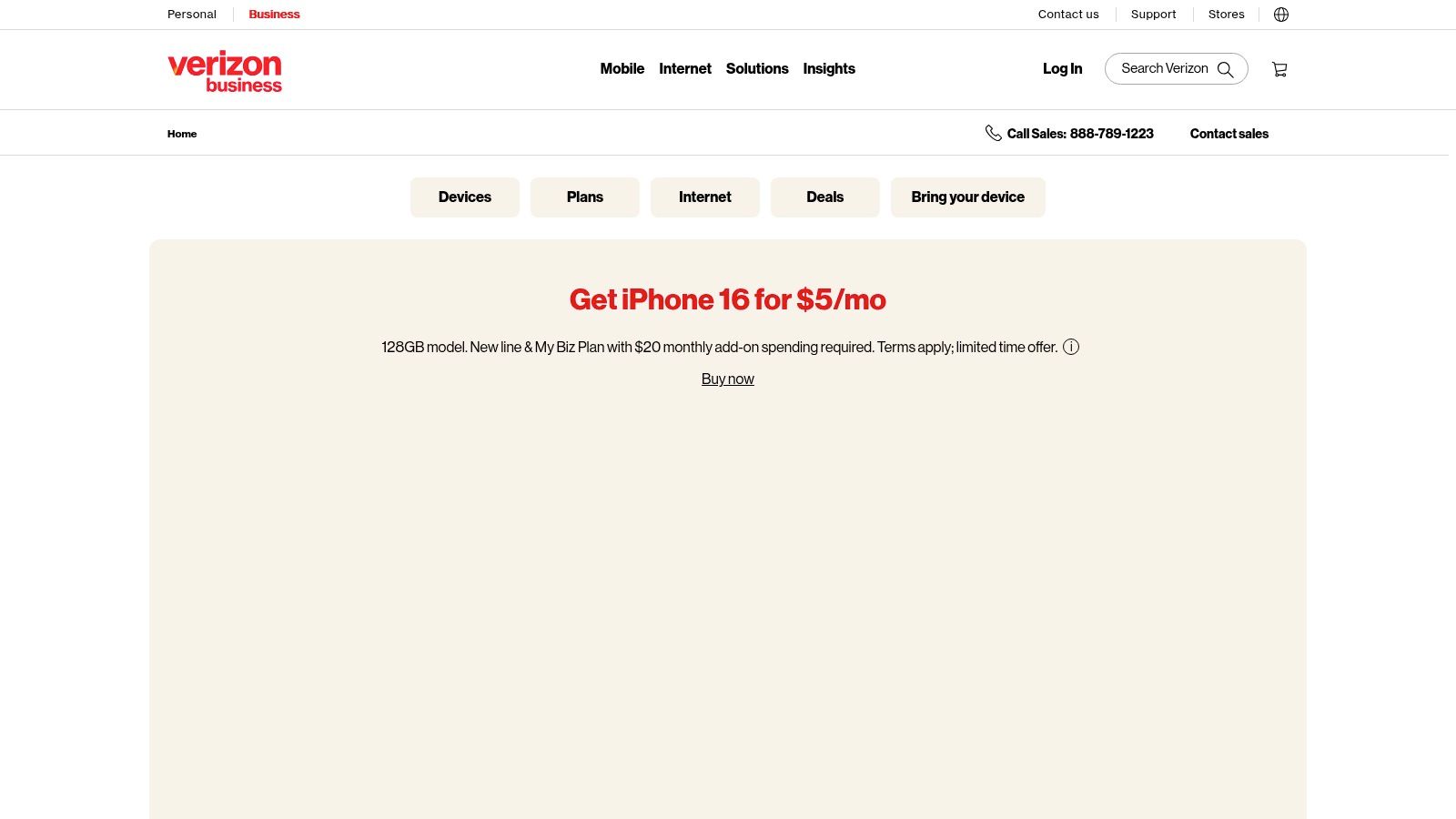 Verizon Business