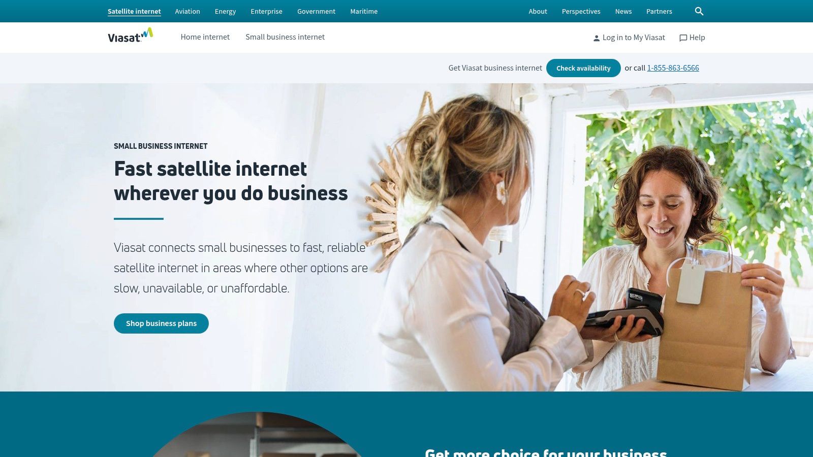 Viasat Business