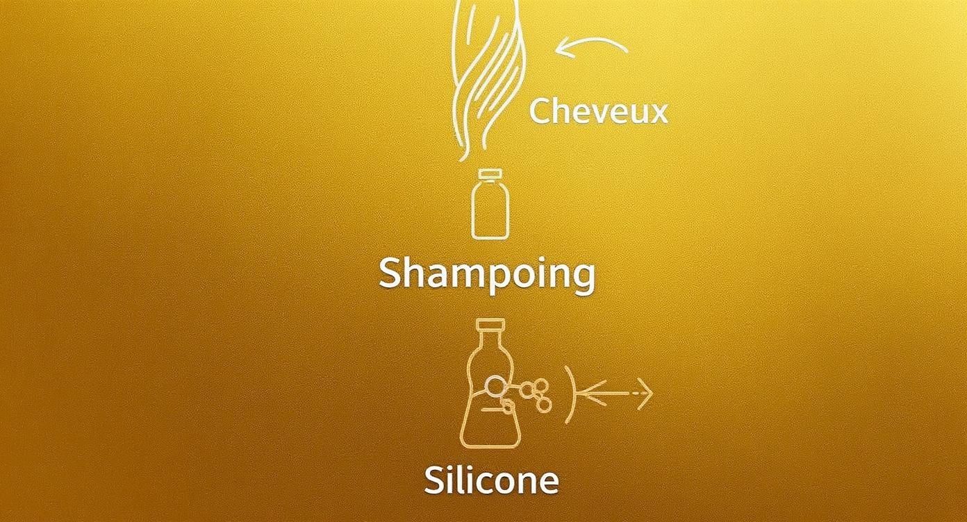 Schéma explicatif montrant les cheveux, une bouteille de shampoing et une bouteille de silicone, avec des flèches d'interaction.