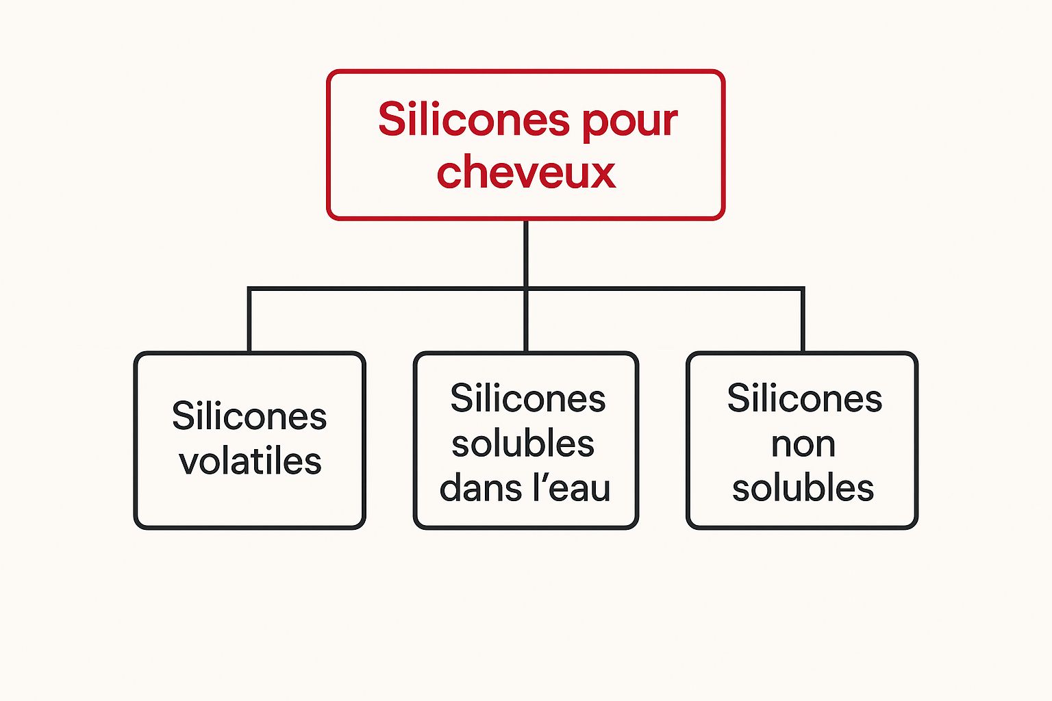 Infographic about silicone pour les cheveux