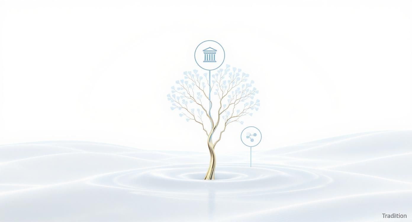Arbre conceptuel illustrant la tradition et l'innovation des spas avec symboles architecturaux et connectés