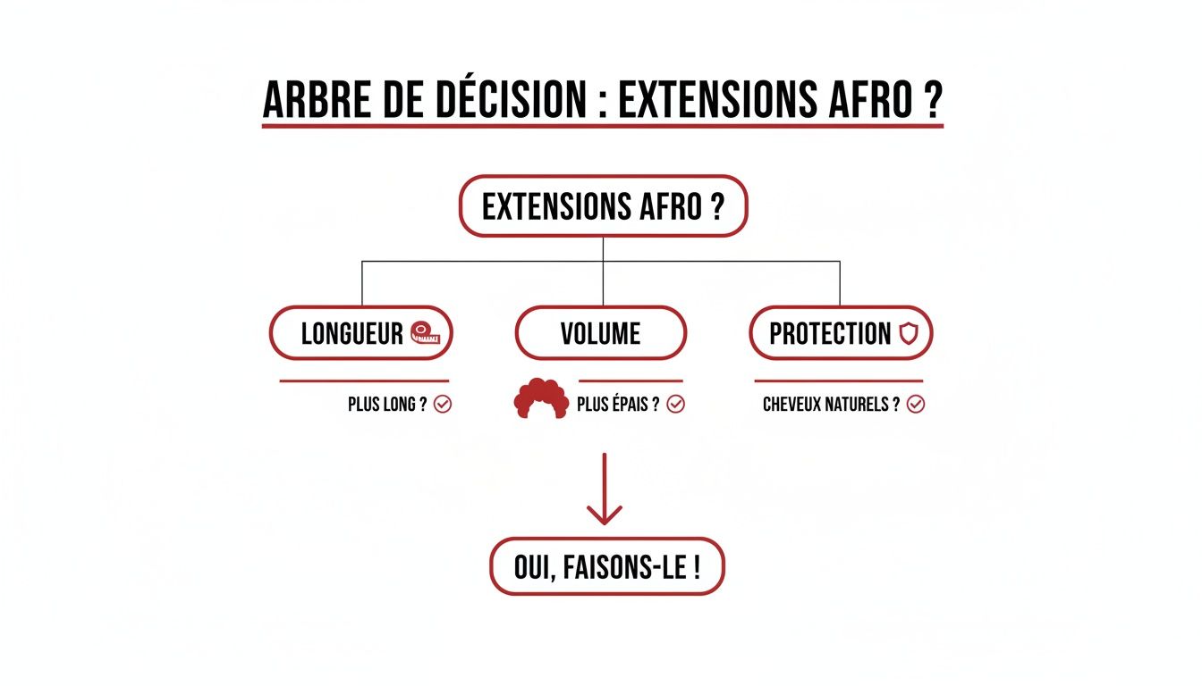 Diagramme d'arbre de décision pour les extensions afro, explorant les options de longueur, volume et protection pour les cheveux.