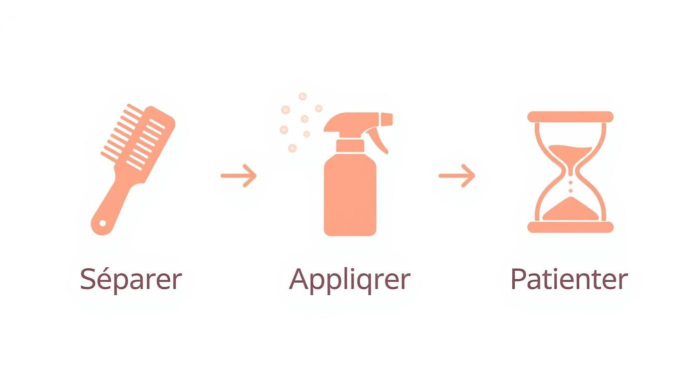 Infographic about comment démêler des cheveux très emmêlés