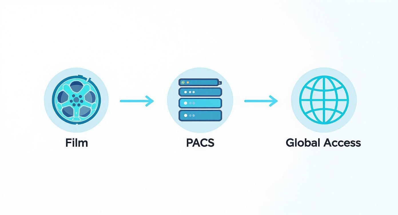 Infographic about what is pacs in healthcare