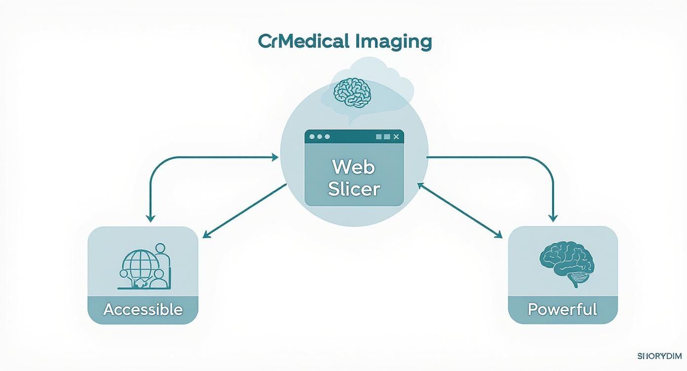 Infographic about web based slicer