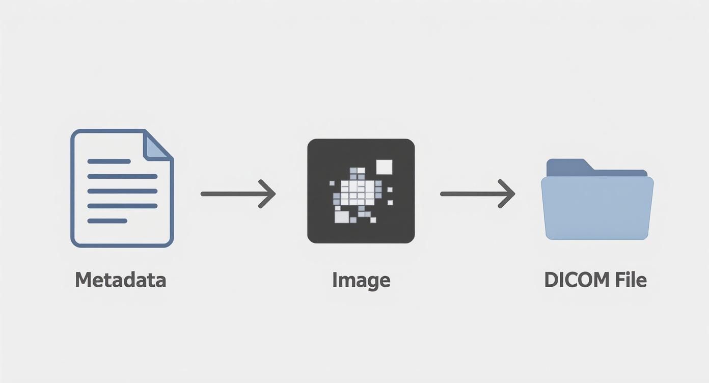 Infographic about what is dicom