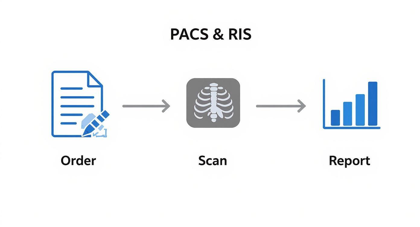 Workflow diagram showing an order, a rib cage scan, and a report in PACS and RIS systems.