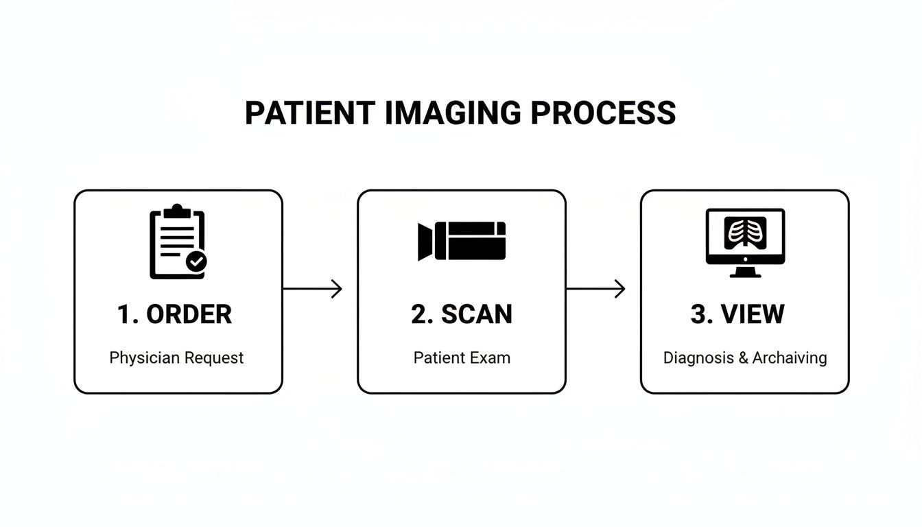 Flowchart illustrating the patient imaging process with three steps: order, scan, and view.
