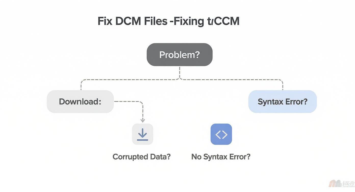 A flowchart titled 'Fix DCM Files' addressing problems related to download and syntax errors.