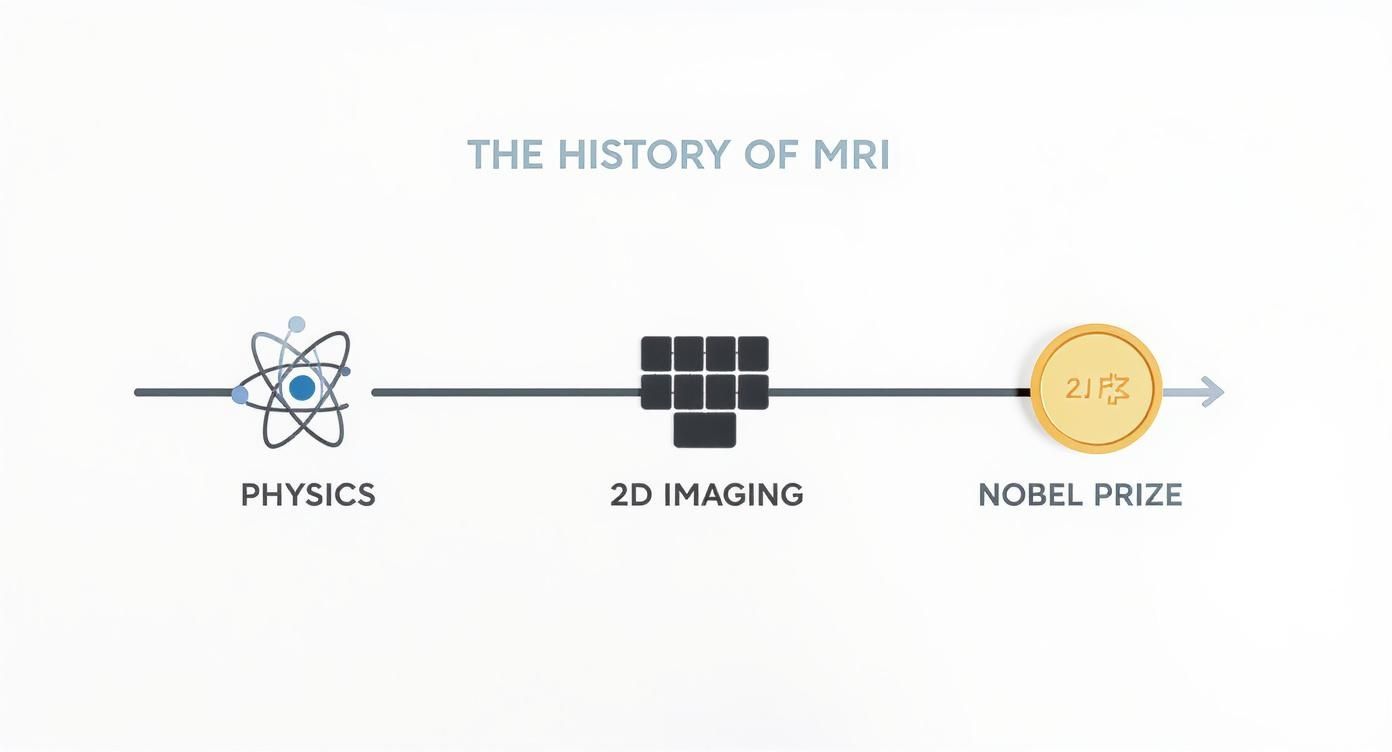 Infographic about mri 3d image