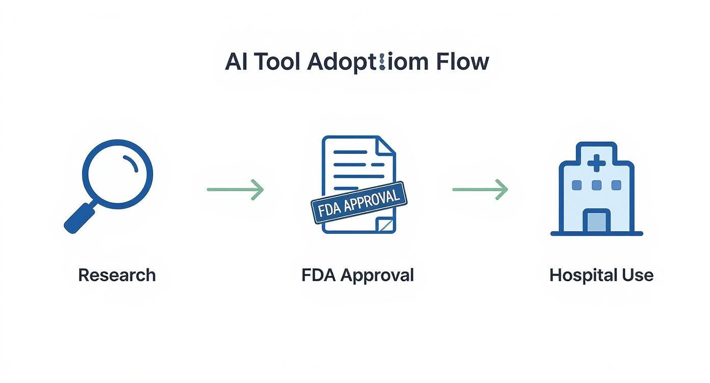 Flow diagram illustrating AI tool adoption in healthcare from research to FDA approval and hospital use.