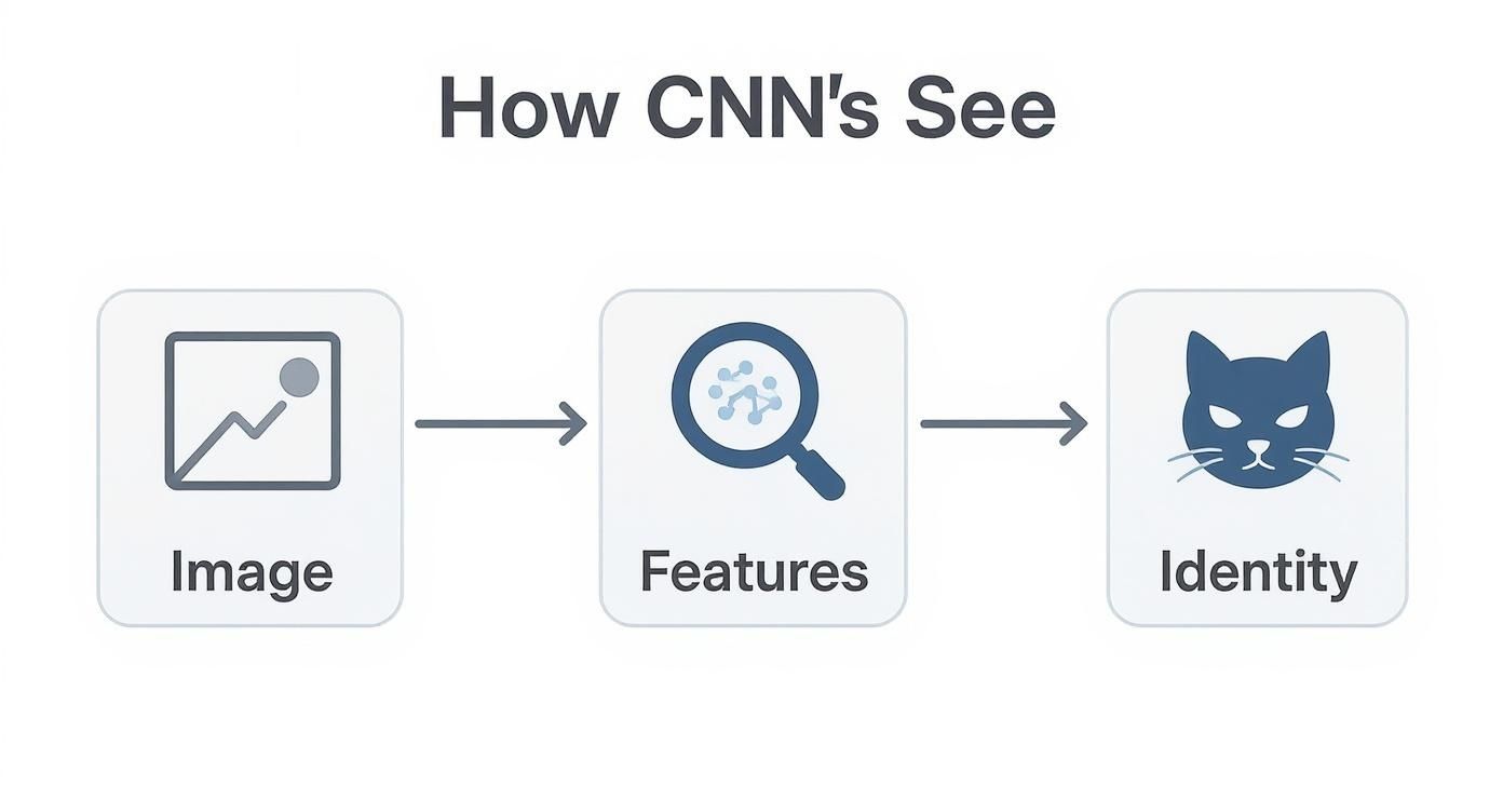 Infographic about convolutional neural networks explained